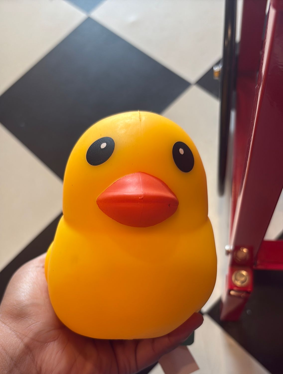 Laffy Quacks
