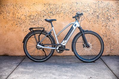 E-Bike Styles