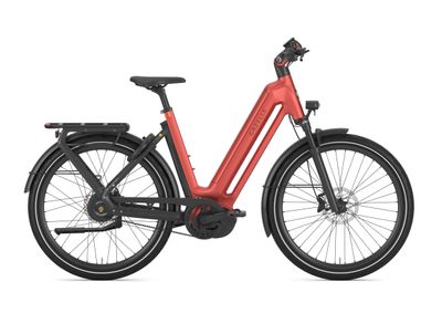 Mid-Motor