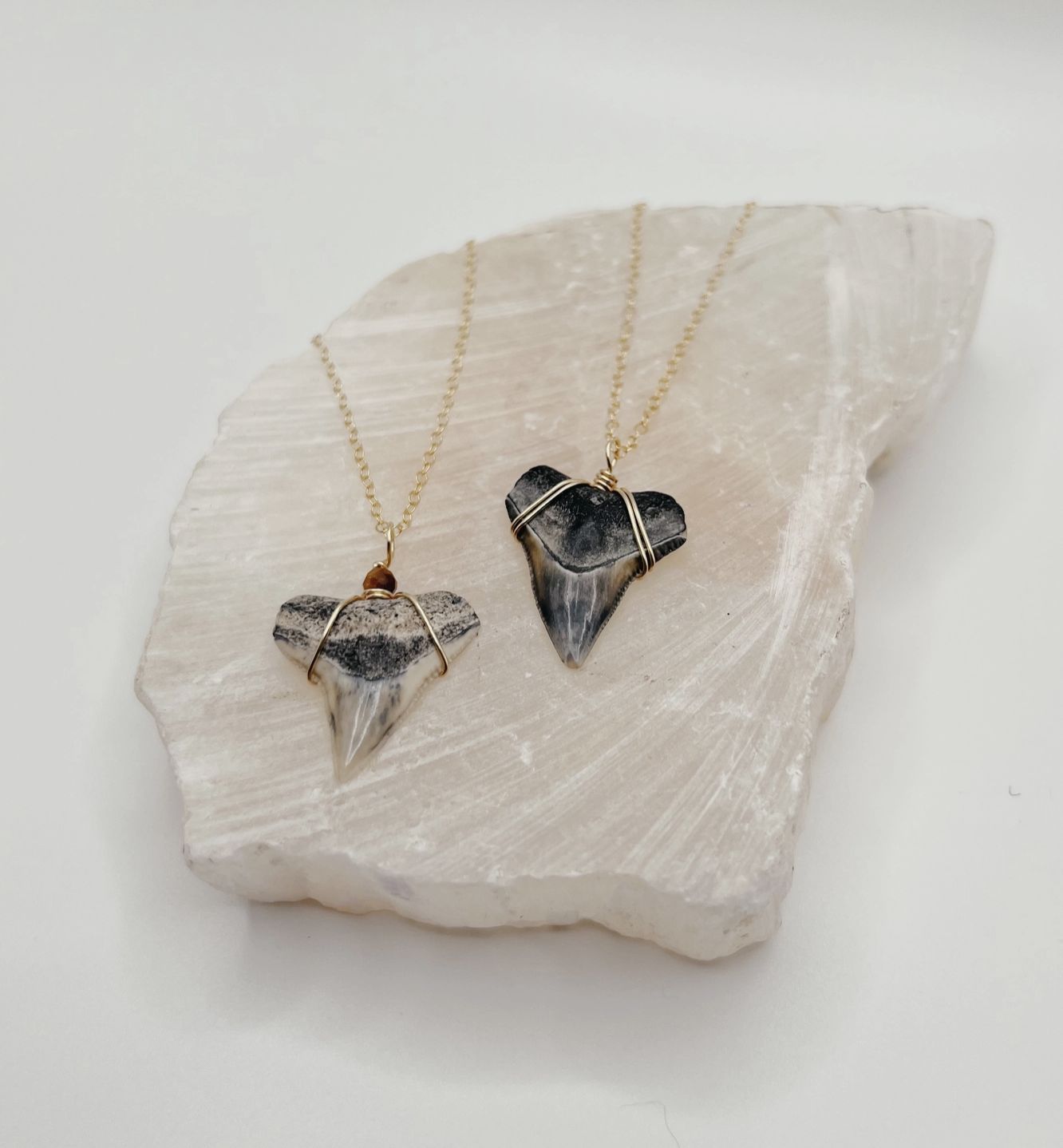 Dainty Shark Tooth Necklace - 24k Gold-Filled