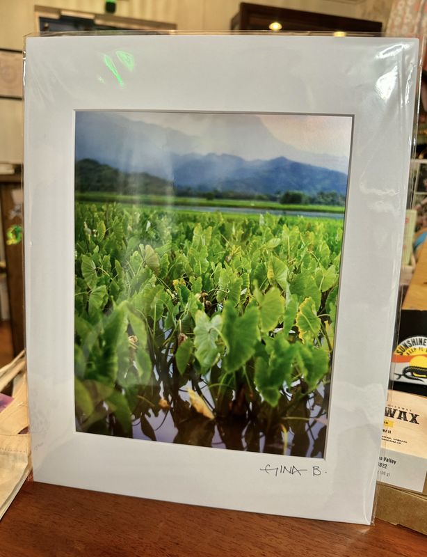 Rooted in Hanalei - Metallic Print