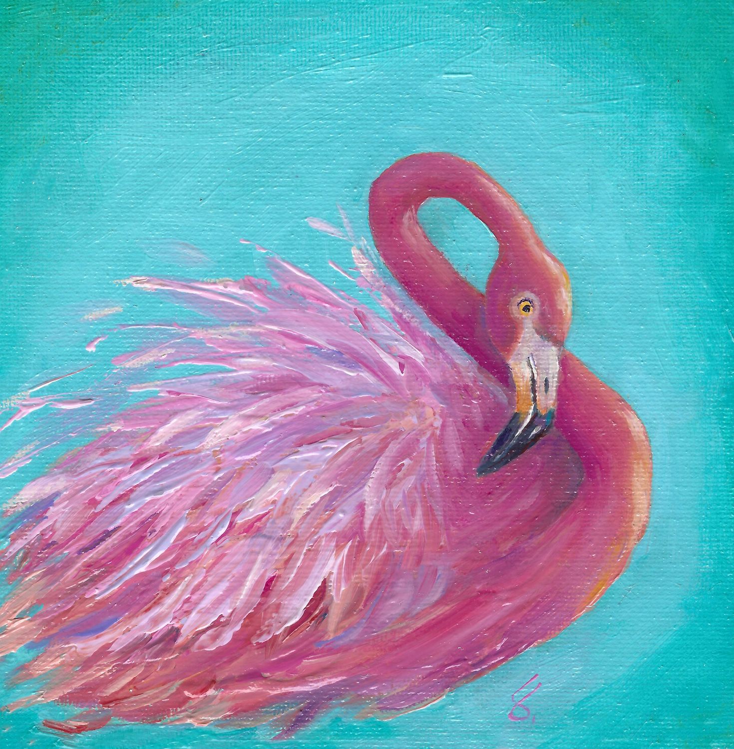 Flamingo Grace