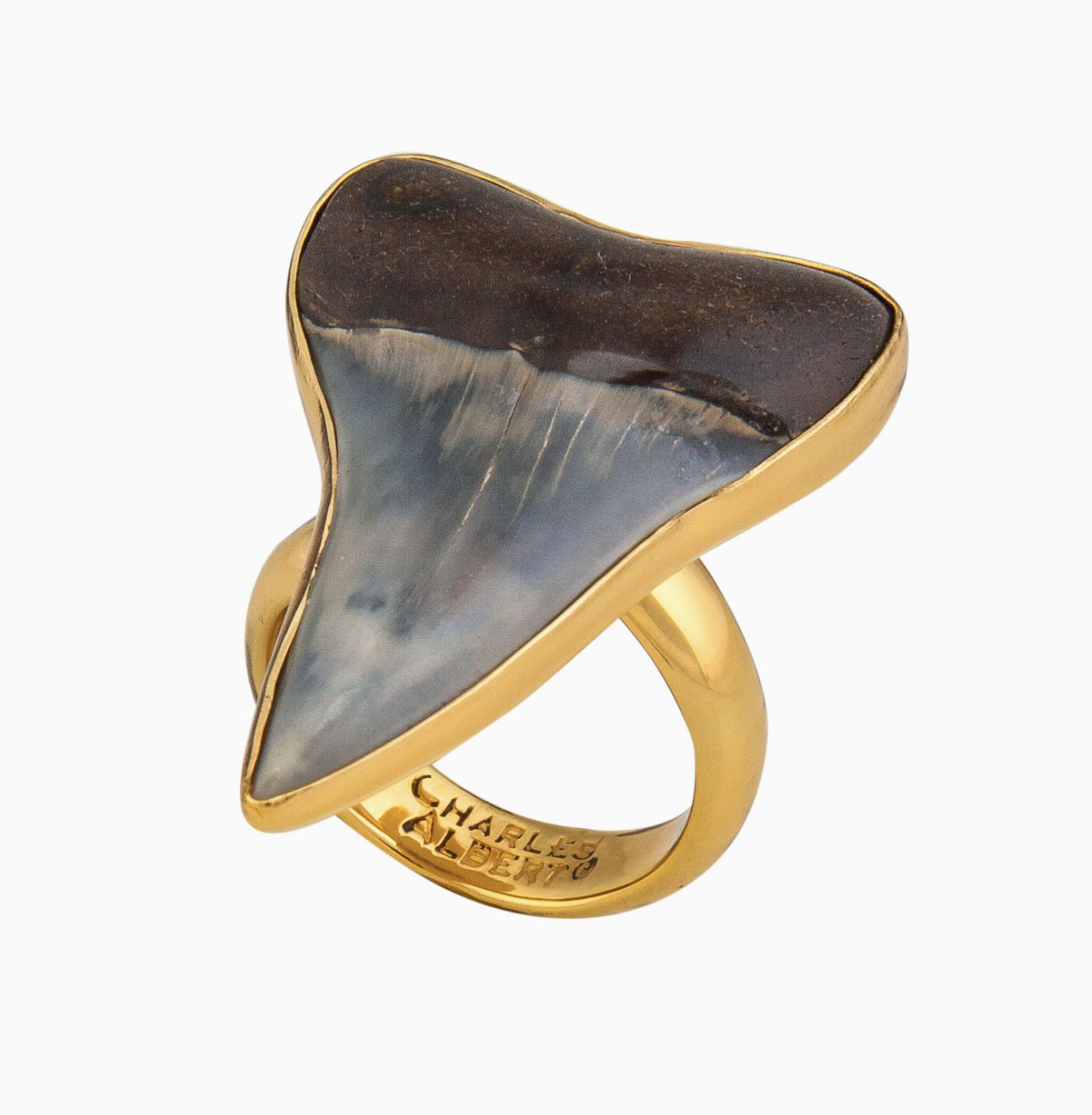 Fossil Shark Tooth Adjustable Ring