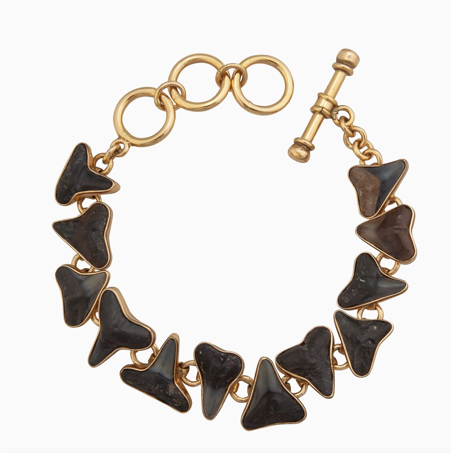 Fossil Shark Teeth Bracelet