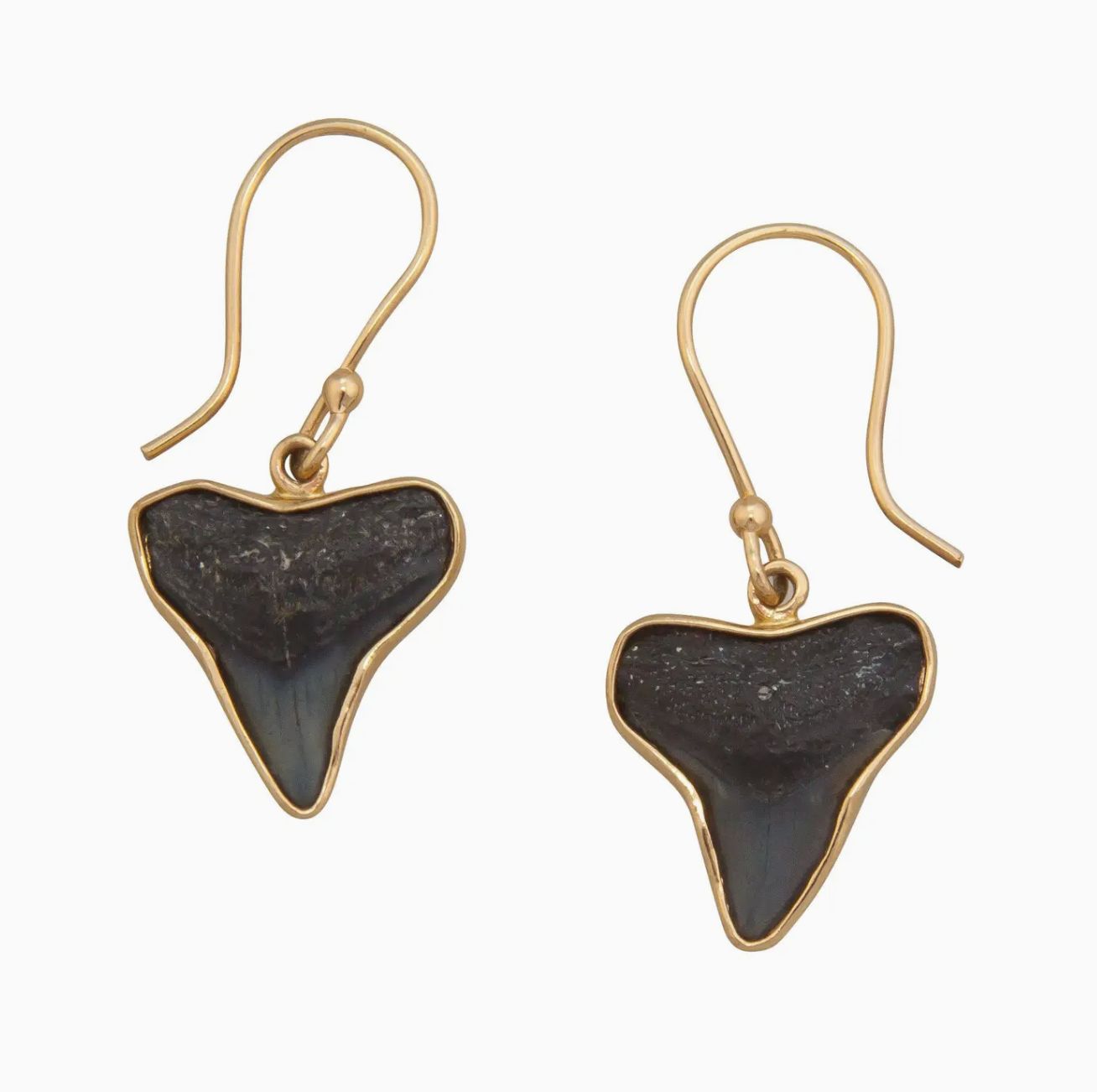 Fossil Shark Teeth Drop Earrings