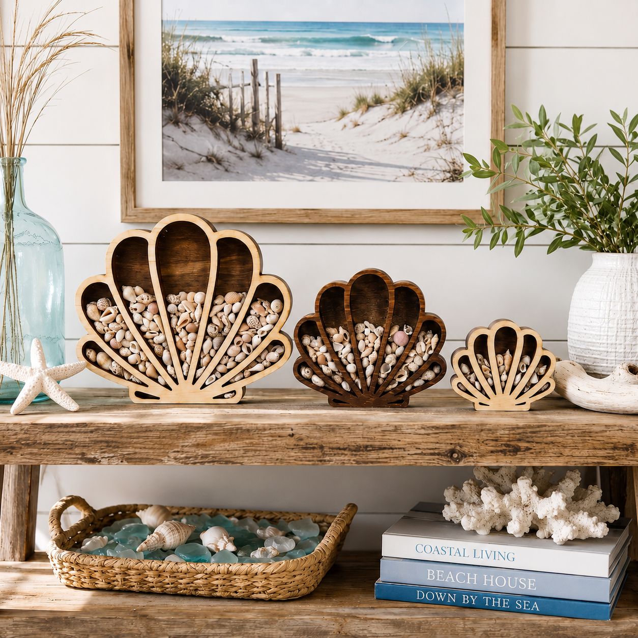 Seashell Keepsake Display for Shells &amp; Sea Glass