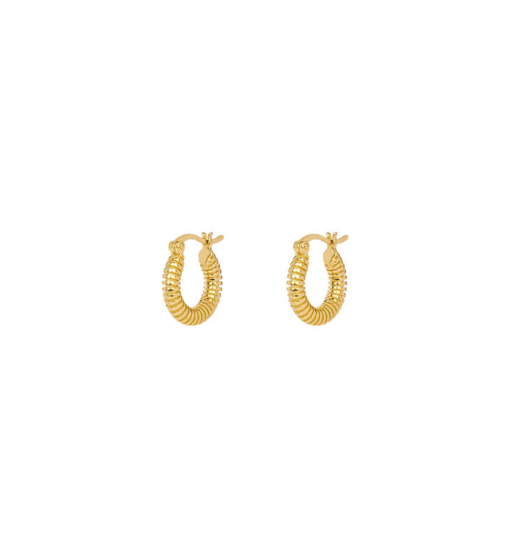 Anna + Nina &#39;spiral&#39; oorringen klein - goud
