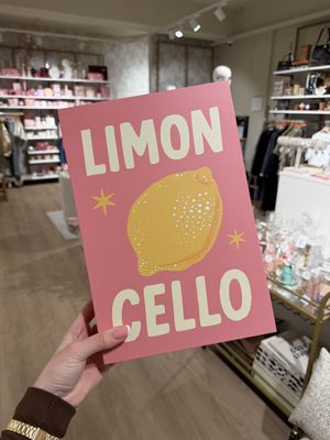 Opbergboek 'Limoncello' 32,5x21x5,5 cm