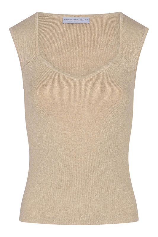Amaya SUNROOT top - beige/goud