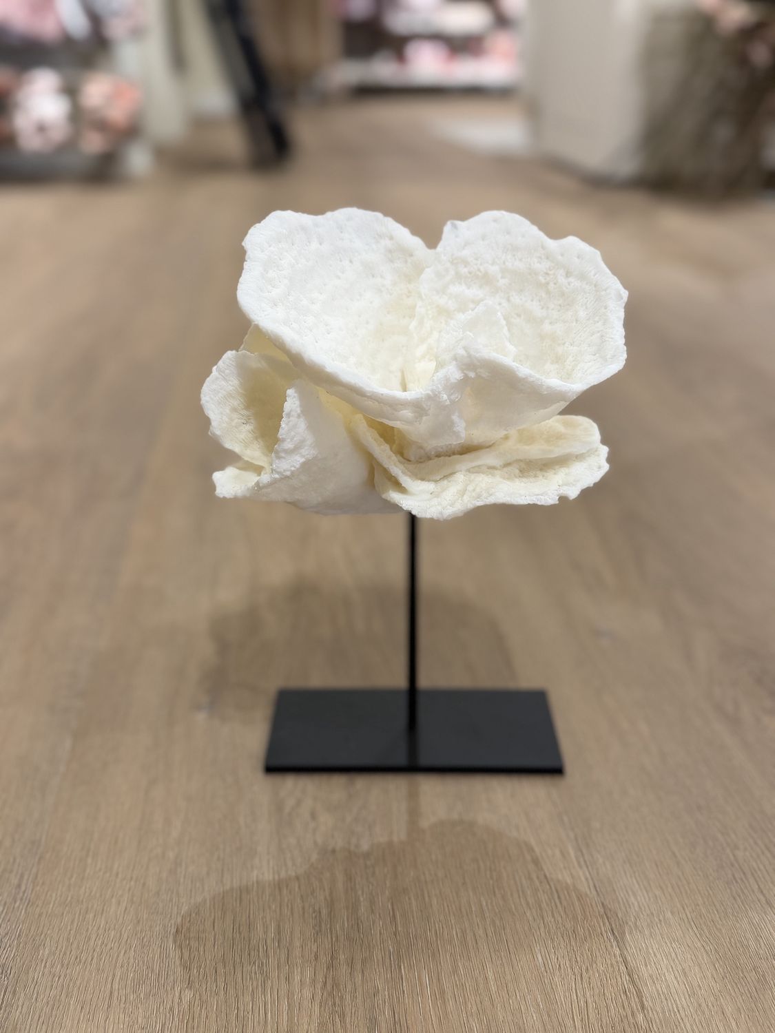 Ornament 'Coral Shell'