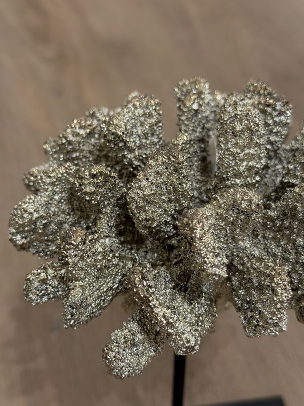 Ornament 'Coral Champagne'