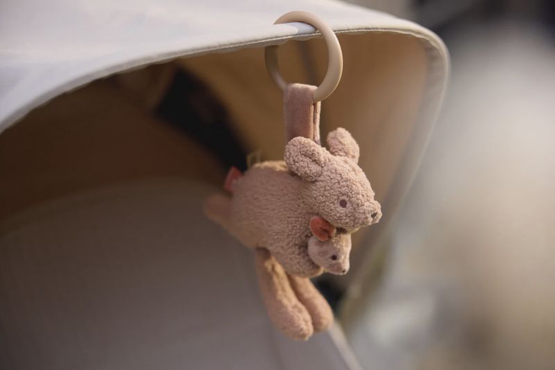 Wagenhanger Kangaroots