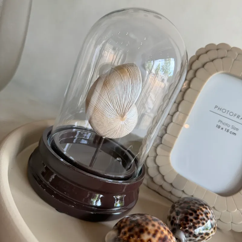 Ornament DOME SHELL | brown