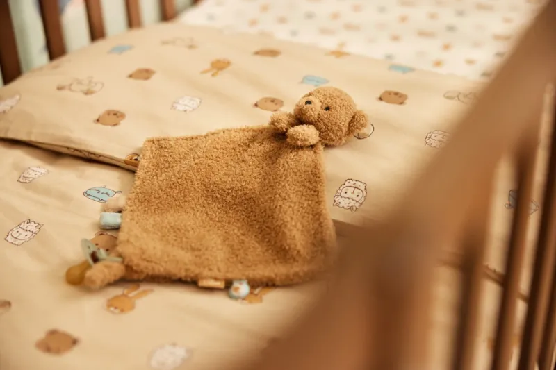Speendoekje Bear Brave