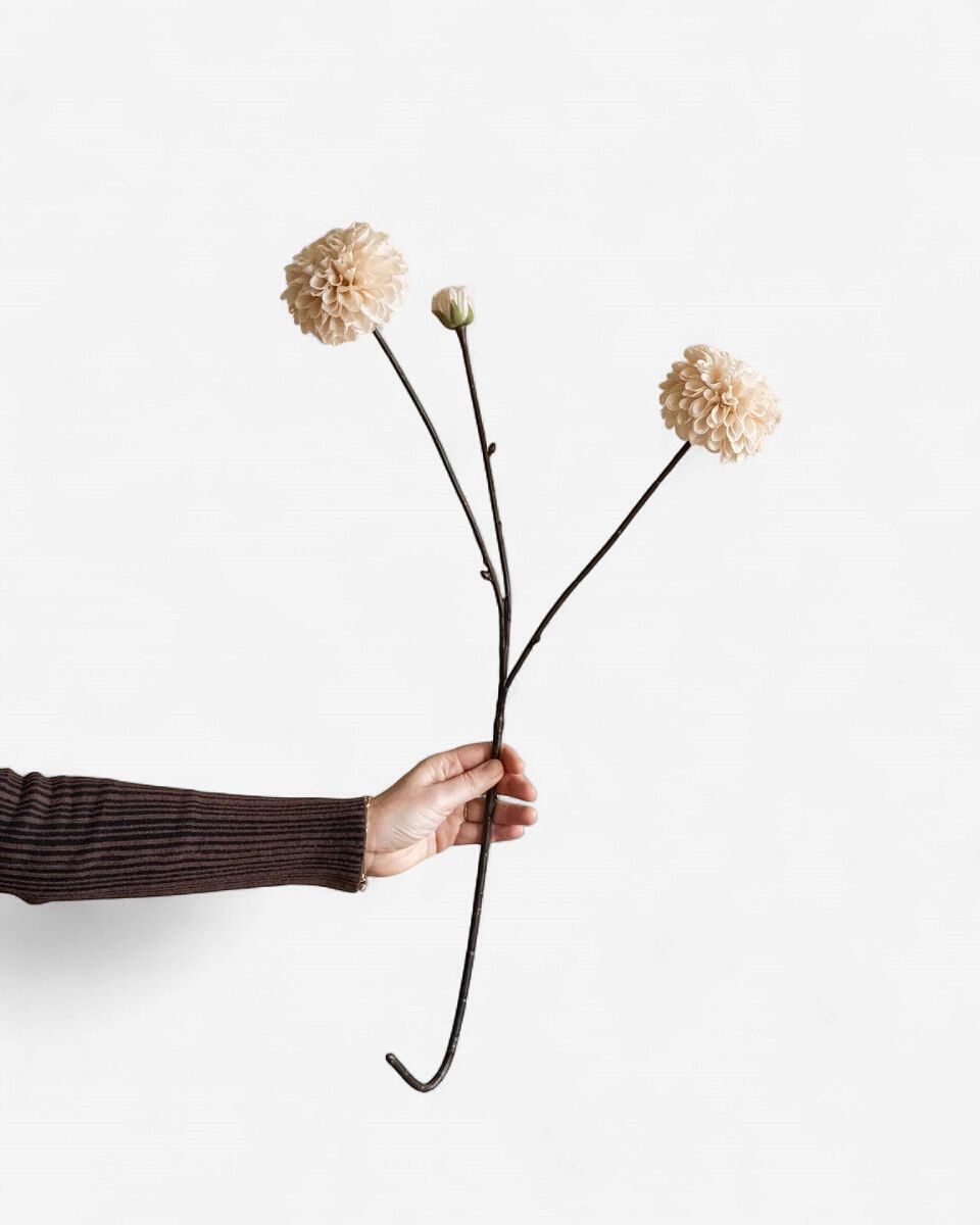Kunsttak Dahlia | cream - 75cm