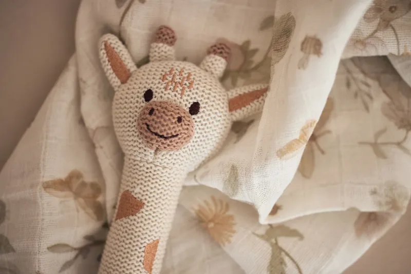Rammelaar Giraffe