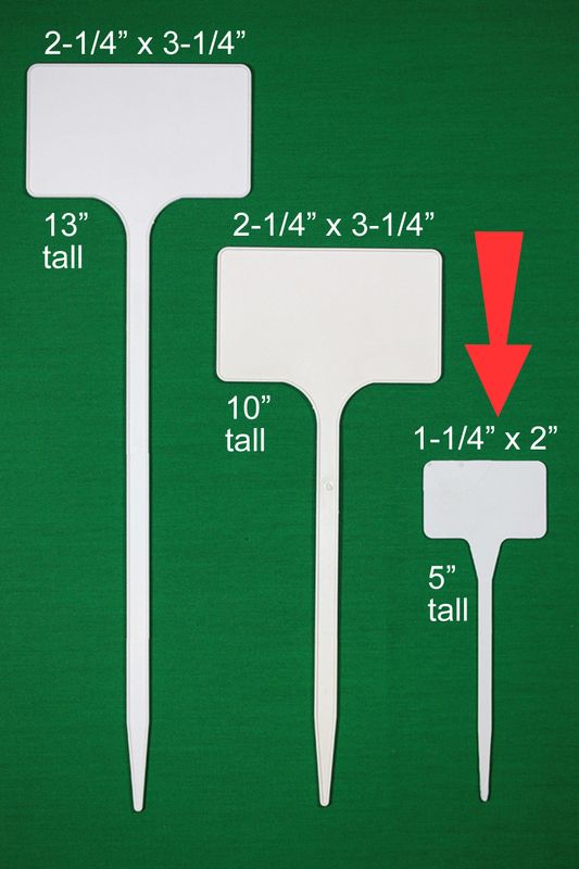 Flat T-Signs | Store | DP Industries