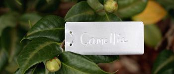 Aluminum Impression Tags