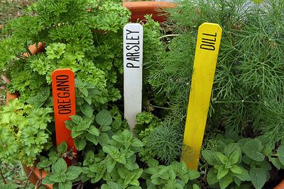 Wood Garden Stakes & Markers