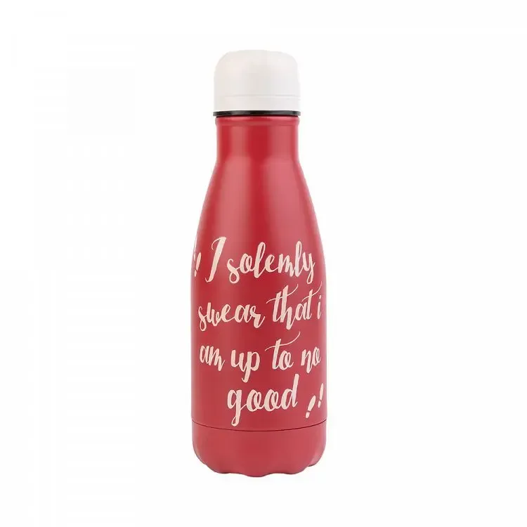 Μεταλλικό Μπουκάλι Hot&amp;Cold 260ml ΧΑΡΙ ΠΟΤΕΡ