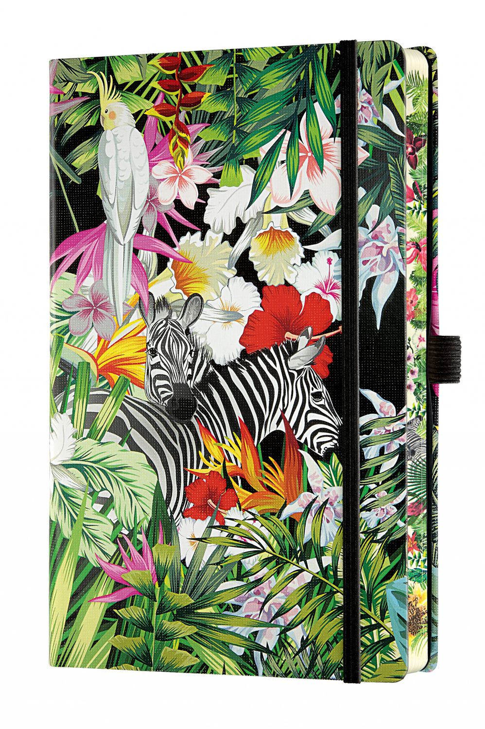 EDEN ZEBRAS
