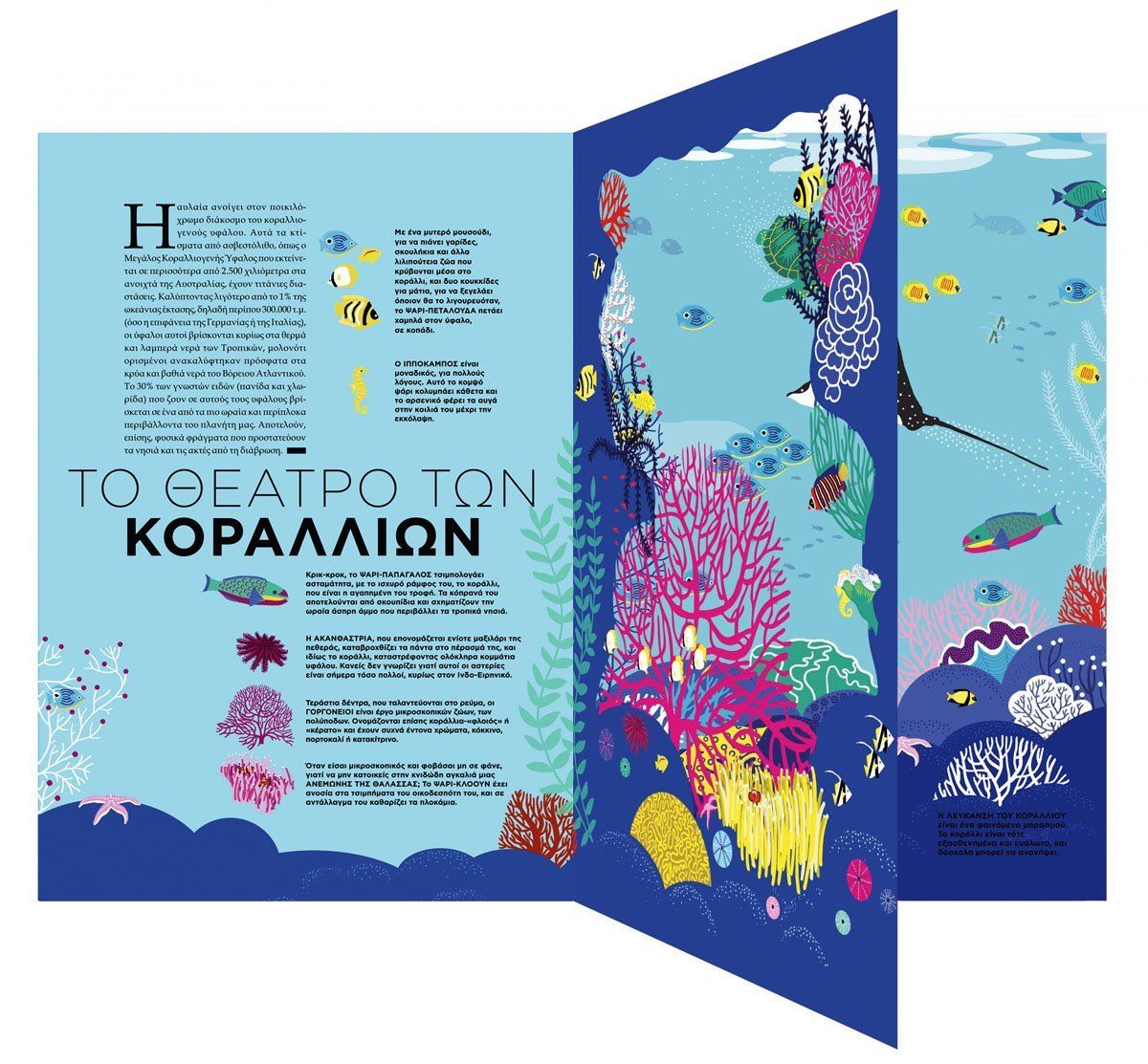 ΩΚΕΑΝΟΣ Κείμενα: EMMANUELLE GRUNDMANN Εικονογράφηση: HÉLÈNE DRUVERT