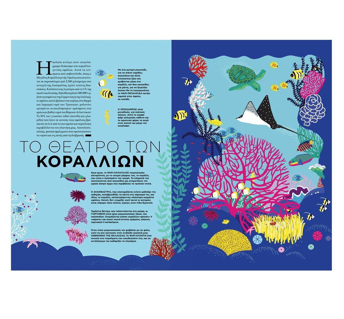 ΩΚΕΑΝΟΣ Κείμενα: EMMANUELLE GRUNDMANN Εικονογράφηση: HÉLÈNE DRUVERT