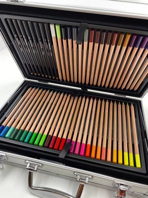 ΒΑΛΙΤΣΑΚΙ ΖΩΓΡΑΦΙΚΗΣ DALER ROWNEY