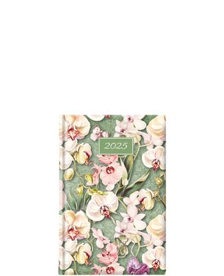 ​Green Orchid Small ημερήσιο Τheofylaktos