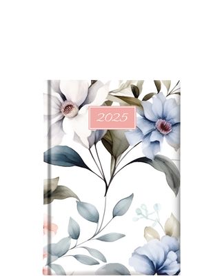 Hibiscus M ημερήσιο Τheofylaktos