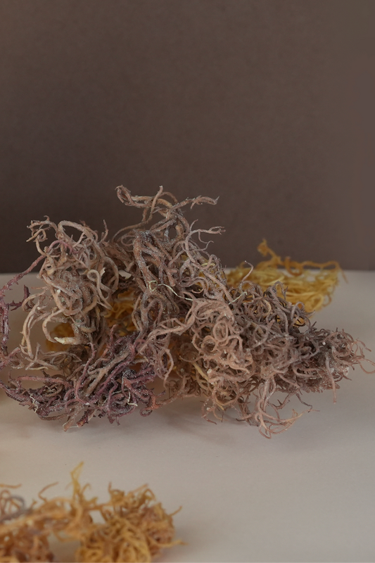 Pure Raw Sea Moss