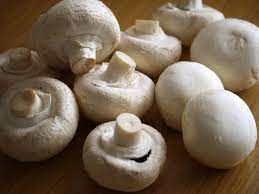 Mushroom 250 gr / Champiñon 250gr
