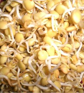 Lentil Sprouts 1/2 Liter / Brotes de Lentejas 1/2 litro