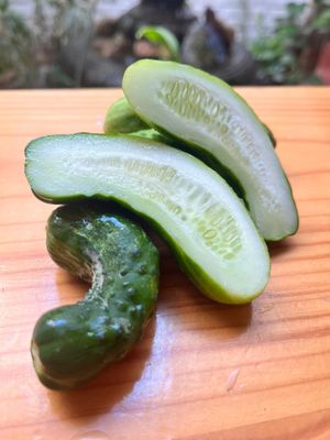 Cucumber / Pepino 500 gr