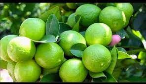 Limon local product 1/2 kilo