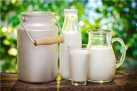 Cow milk RAW frozen. 750 ml