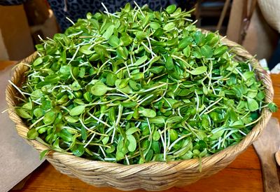 Organic Sunflower Sprouts