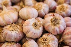 Garlic 1 piece/ Ajo 1 Pieza