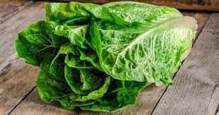 Romain Lettuce 1 piece/ Lechuga Romana 1 pieza