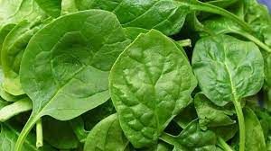 Spinach/ Fresh Spinach 1 bunch