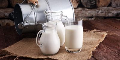 Dairy