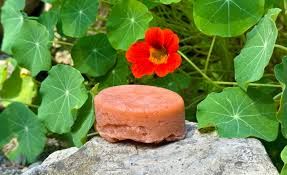 SOAP Brazilian Clay Body Soap