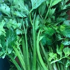 Celery/ Apio 1 bunch