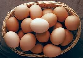 Eggs/ Huevos 6 free range
