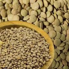 Lentil  green organic 500 gr / Lenteja 500 gr
