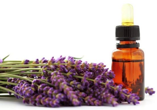 Lavander Oil 250 ml / Aceite de Lavanda 250 ml