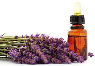 Lavander Oil 250 ml / Aceite de Lavanda 250 ml