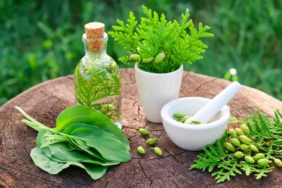 Holistic medical referrals