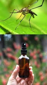 insect repellent spray, organic blend  250 ml