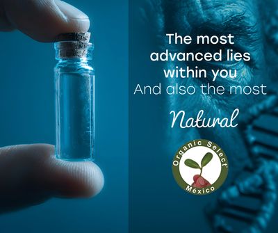 Stem Cell Therapy